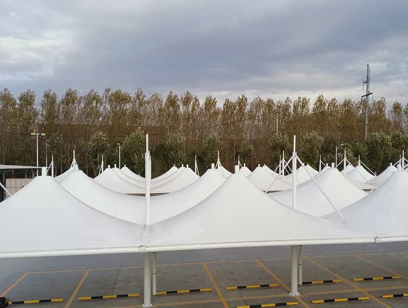 長春膜結構造型的控制因素有哪些？